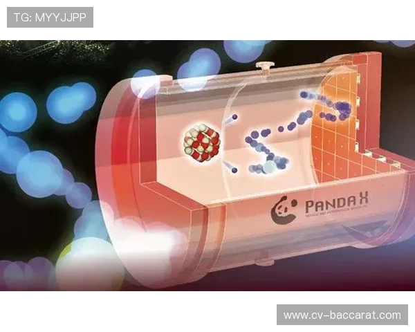 X-PANDA弹珠游戏机带来全新娱乐体验探索无限欢乐与刺激魅力 X-PANDA弹珠游戏机带来全新娱乐体验探索无限欢乐与刺激魅力